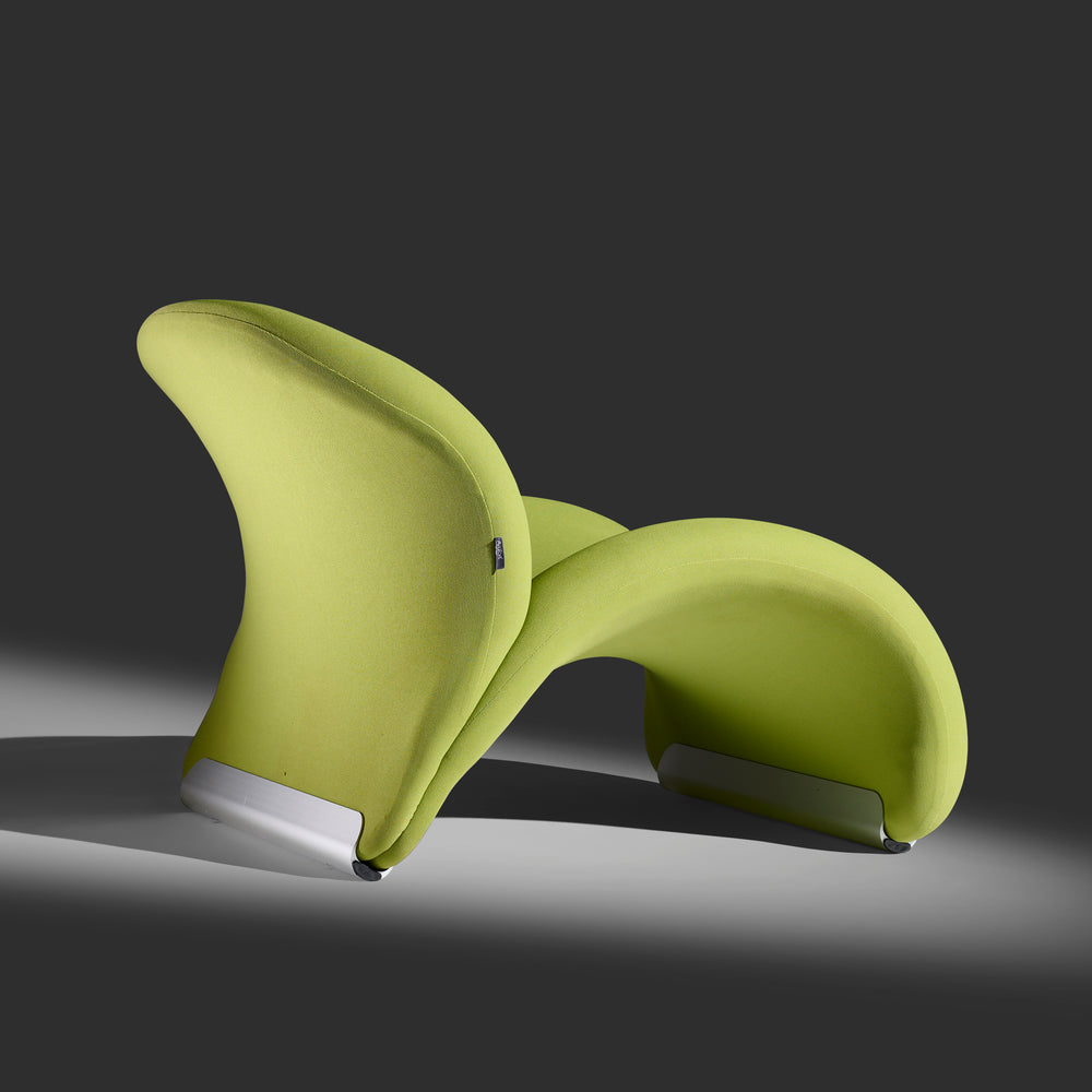 Pierre Paulin pair of model 574 Le Chat chairs for Artifort Netherlands